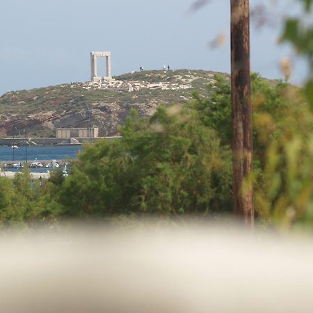 Vasiliki'S House Διαμέρισμα Naxos City Εξωτερικό φωτογραφία