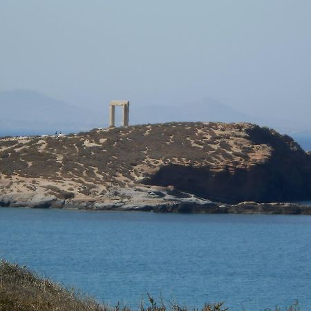 Vasiliki'S House Διαμέρισμα Naxos City Εξωτερικό φωτογραφία