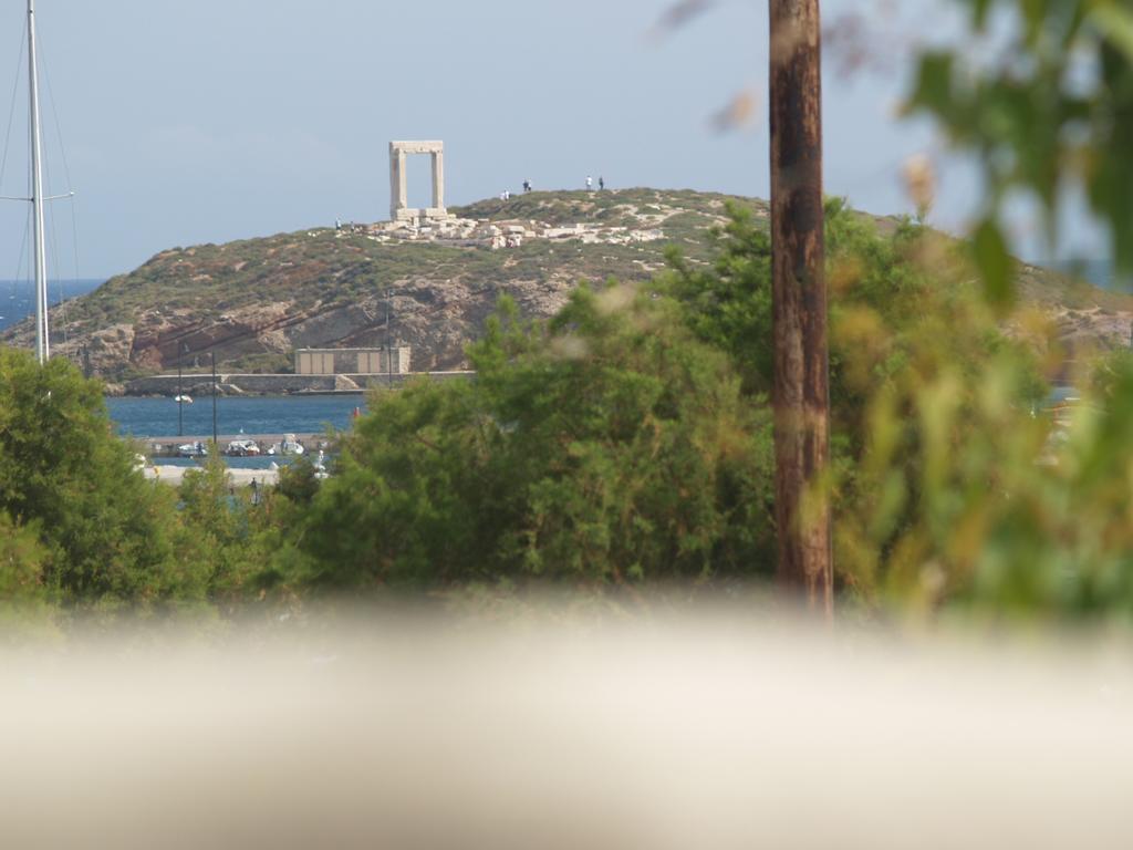 Vasiliki'S House Διαμέρισμα Naxos City Εξωτερικό φωτογραφία